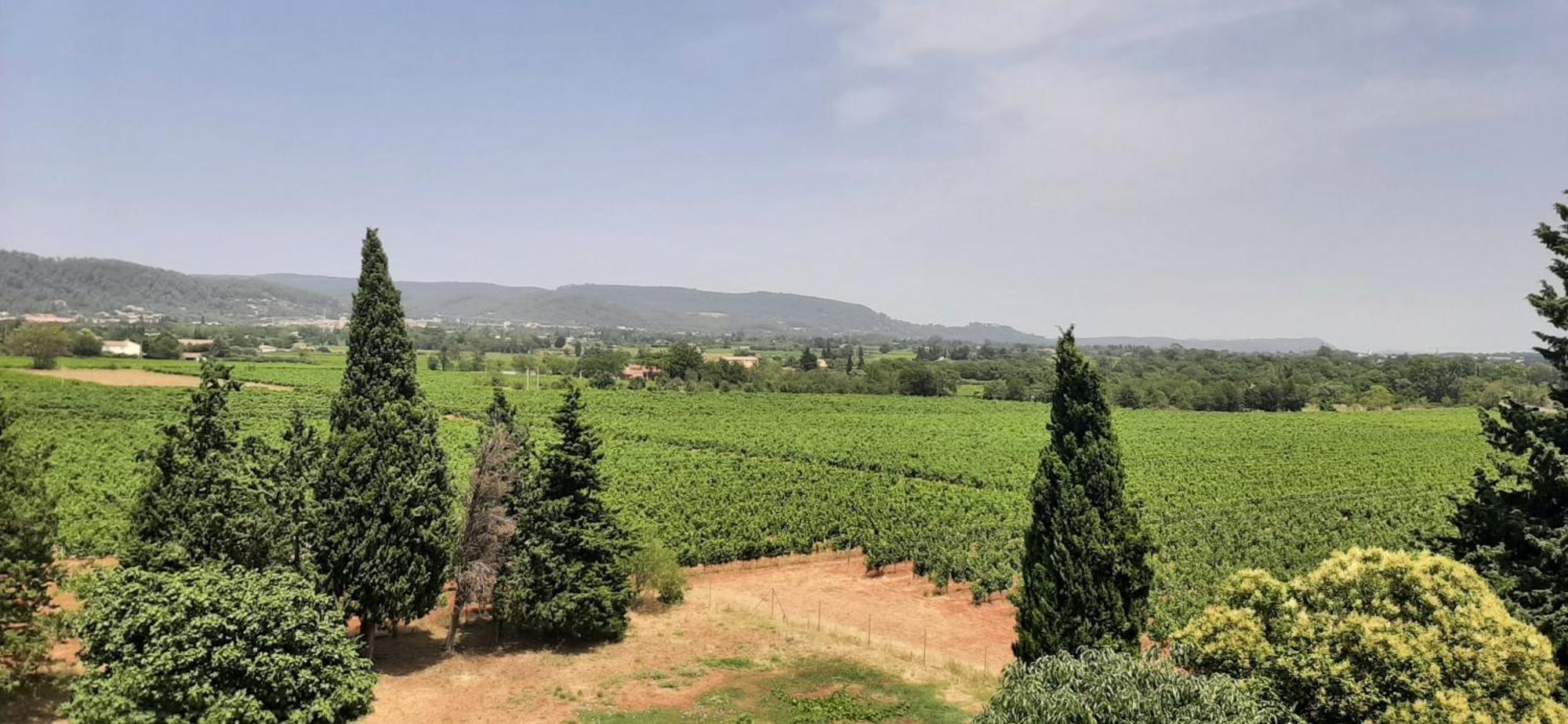 Bed And Breakfast La Grande Lauzade Ле-Люк Номер фото